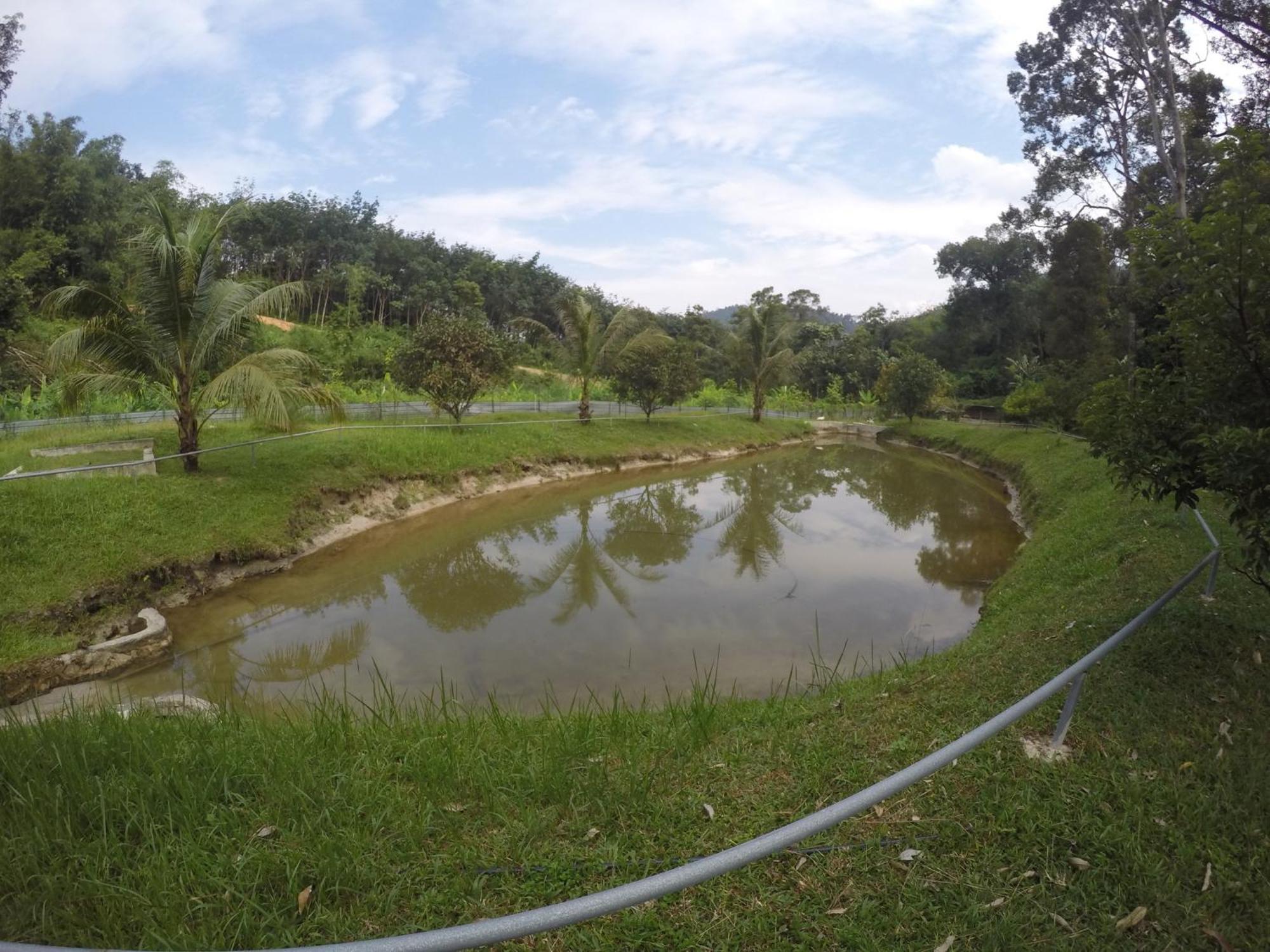 Santai De Lui Resorts Kampong Masjid  Dış mekan fotoğraf
